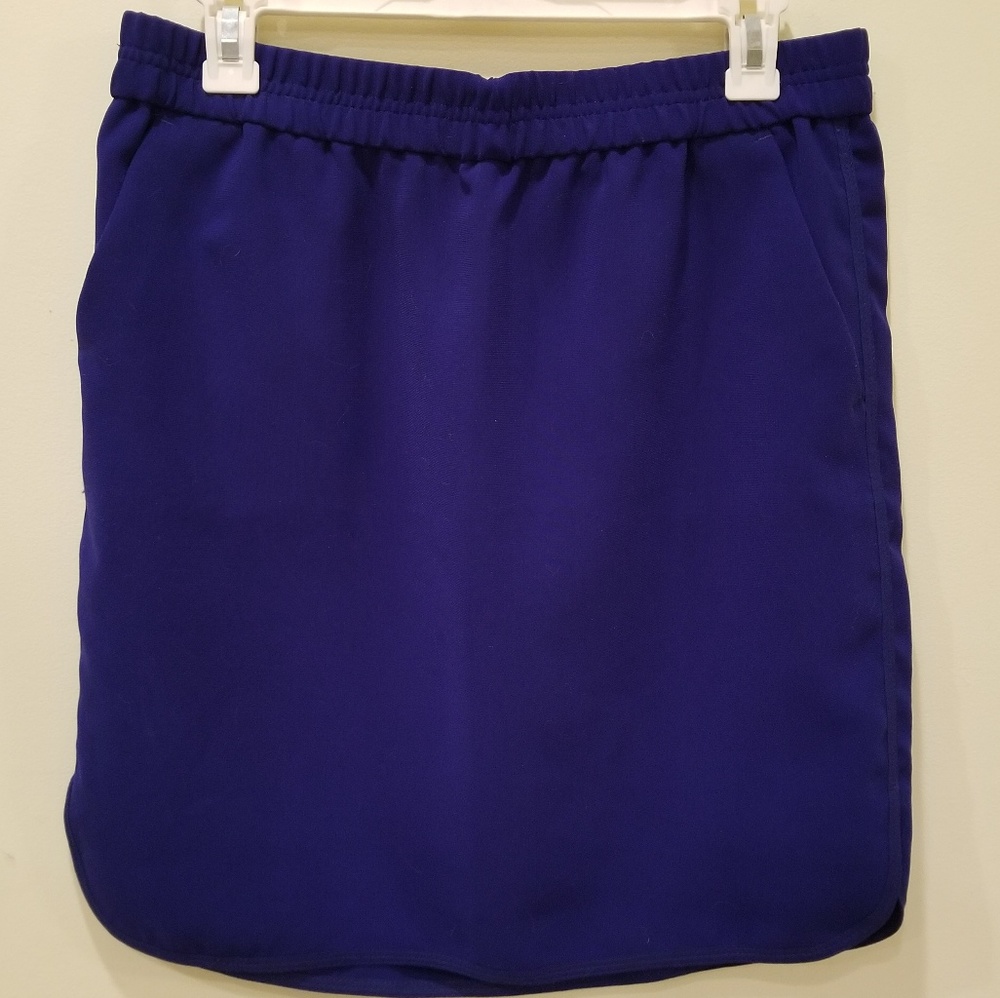 Jcrew skirt
